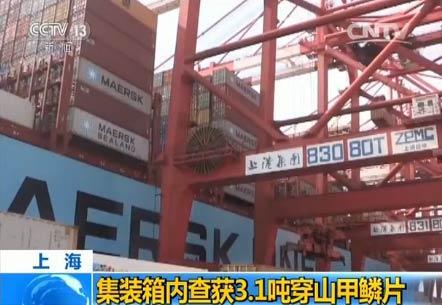 海关律师张严锋关注：上海海关查获3.1吨穿山甲鳞片