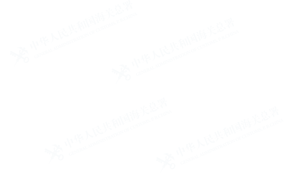 海关总署公告2019年第125号（关于执行《鼓励外商投资产业目录（2019年版）》有关问题的公告）